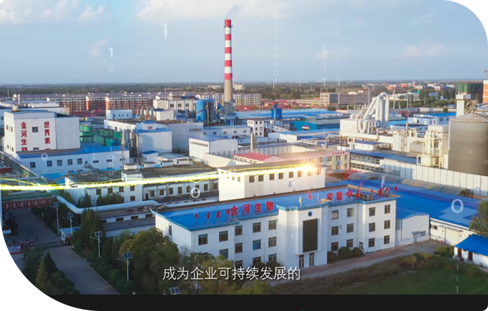 064e9ea8861843308fc23b19abc1782f