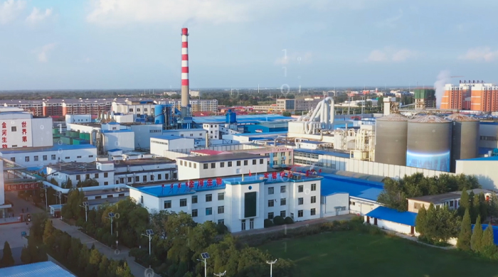 b54f61dfa892452385500b5ab1563ba3