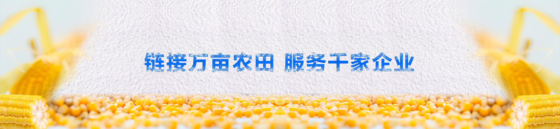 01ef08a785874153a7e8a7f2add57fd9