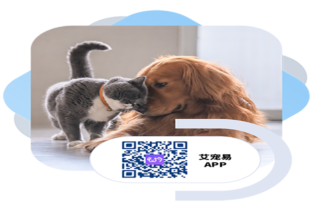 3488b94855da445a8c7e4263116b1914